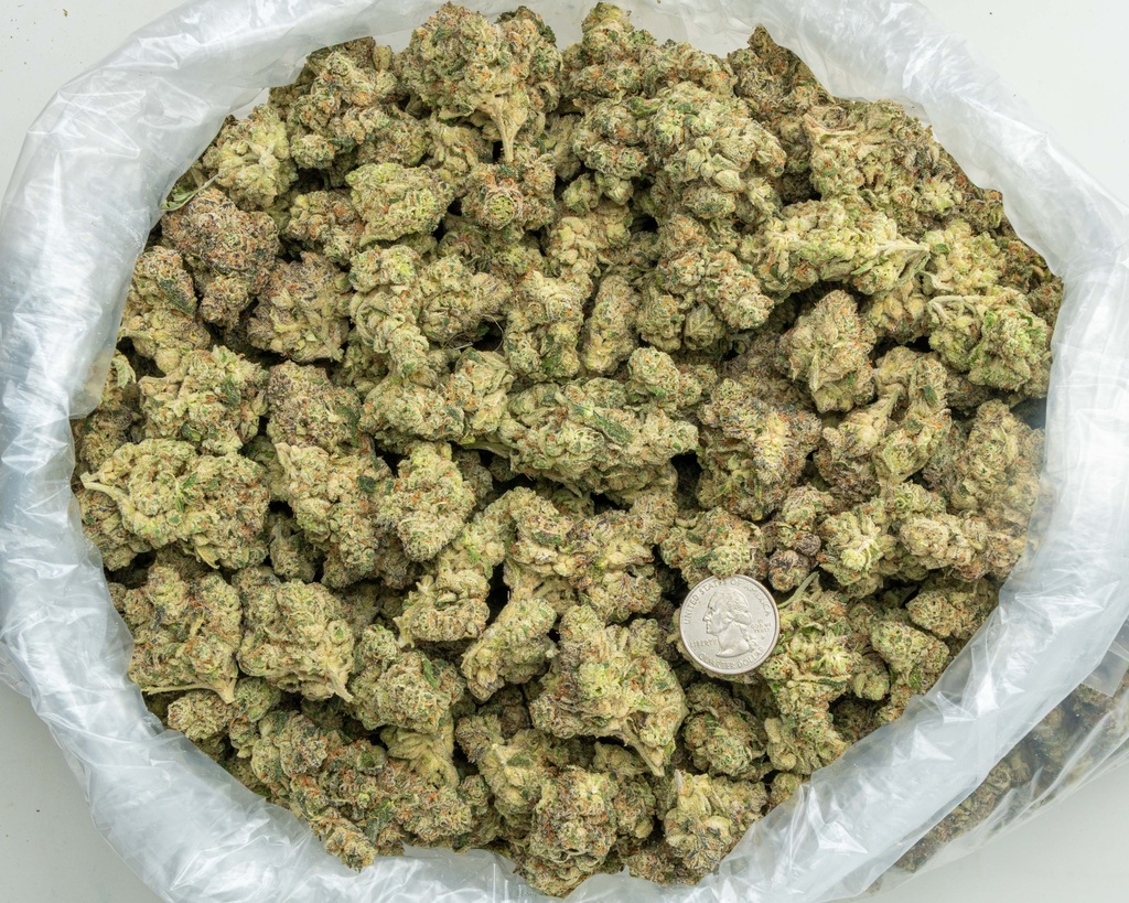 LA Pop Rocks Indoor