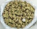 LA Pop Rocks Indoor