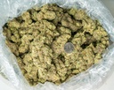 LA Pop Rocks Indoor