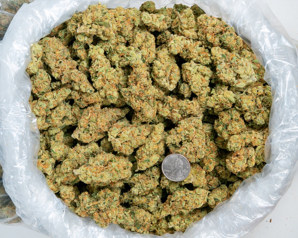 Future Haze Indoor