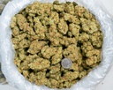 Future Haze Indoor