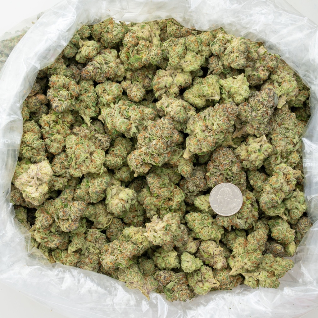 Lemon Cherry Gelato Indoor