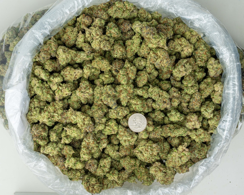 Lemon Cherry Gelato Indoor