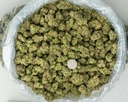 Lemon Cherry Gelato Indoor