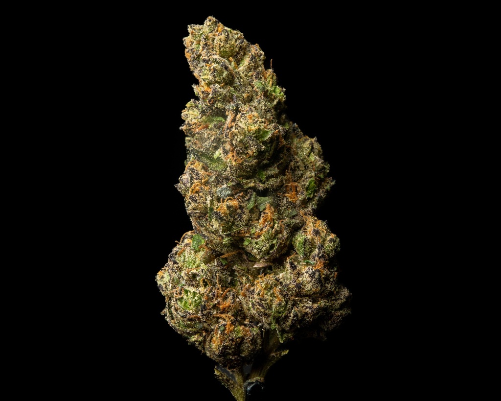 Octane Gas Indoor