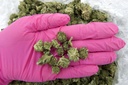 Bubba Smalls (CBD)