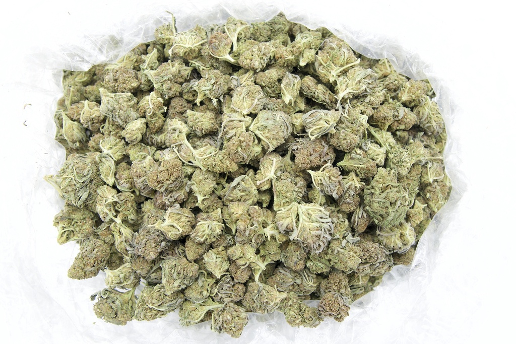Cheetah Pizz Smalls (CBD)