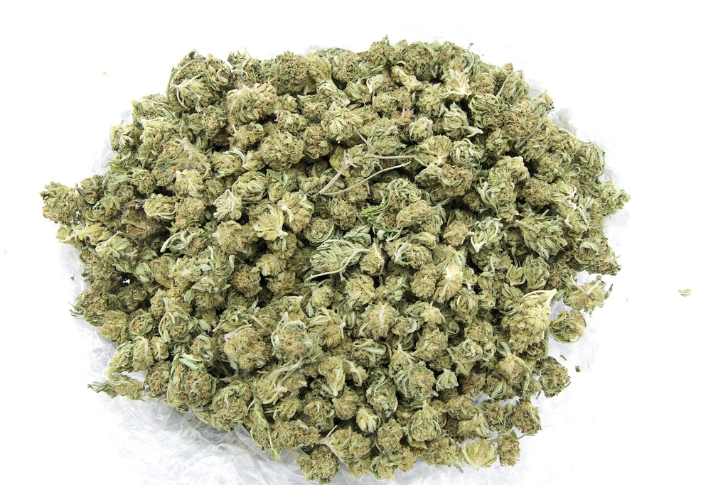 Diesel Smalls (CBD)