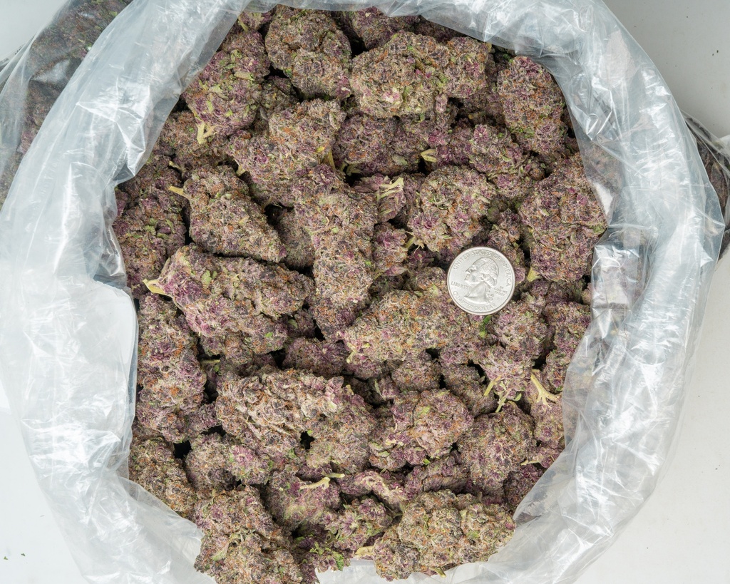 Tropicana Cherry Indoor