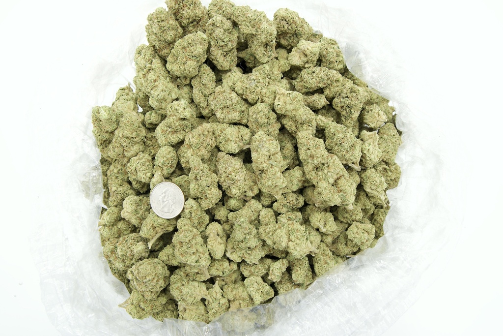 Red Bullz Indoor