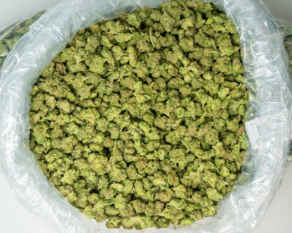 Dolce Gelato Smalls