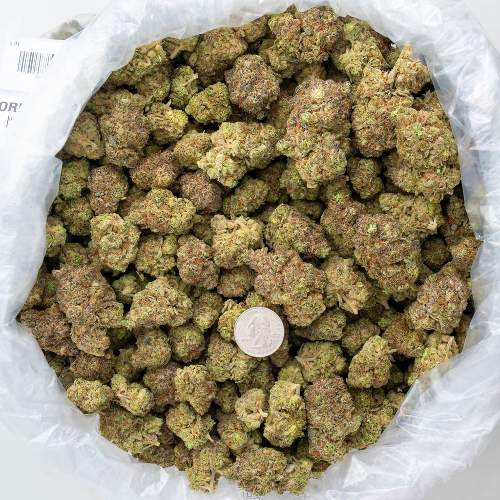 Oreoz Indoor
