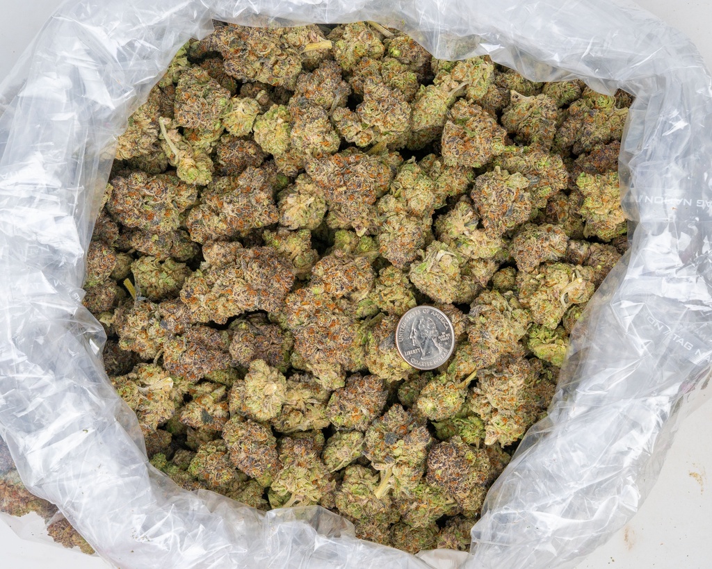 Oreoz Indoor