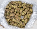 Oreoz Indoor