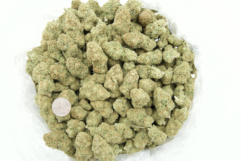 Mendo Train