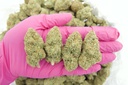 Mendo Train
