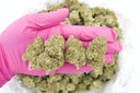 Kush Crasher