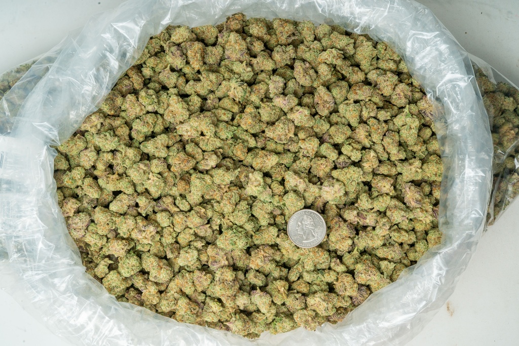 Durban Cookies Indoor Smalls