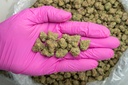 Durban Cookies Indoor Smalls