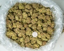 High Octane Indoor