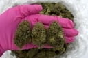Blue Cheese (CBD)