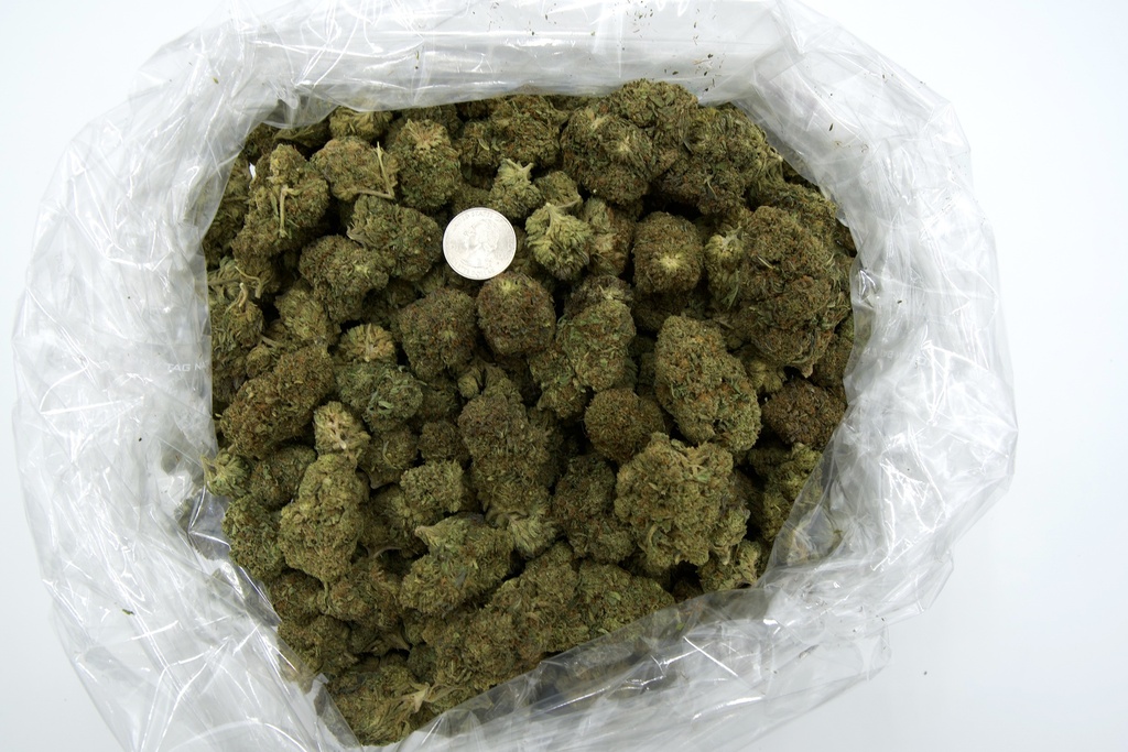 Blue Cheese (CBD)