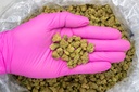 Agent Orange Indoor Smalls