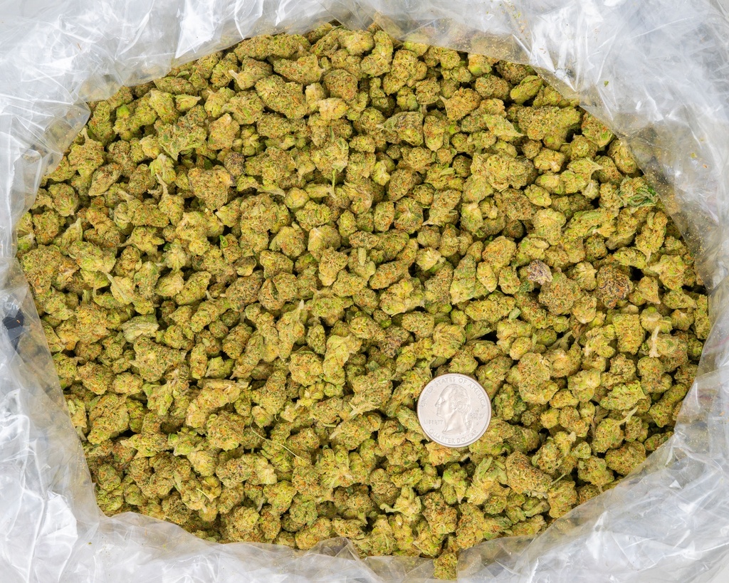 Agent Orange Indoor Smalls