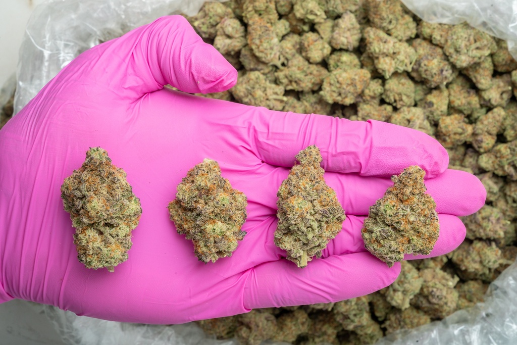Durban Cookies Indoor