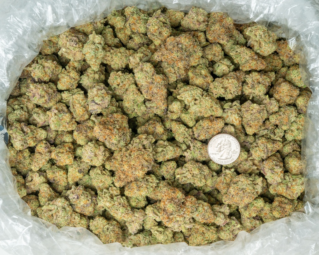Durban Cookies Indoor