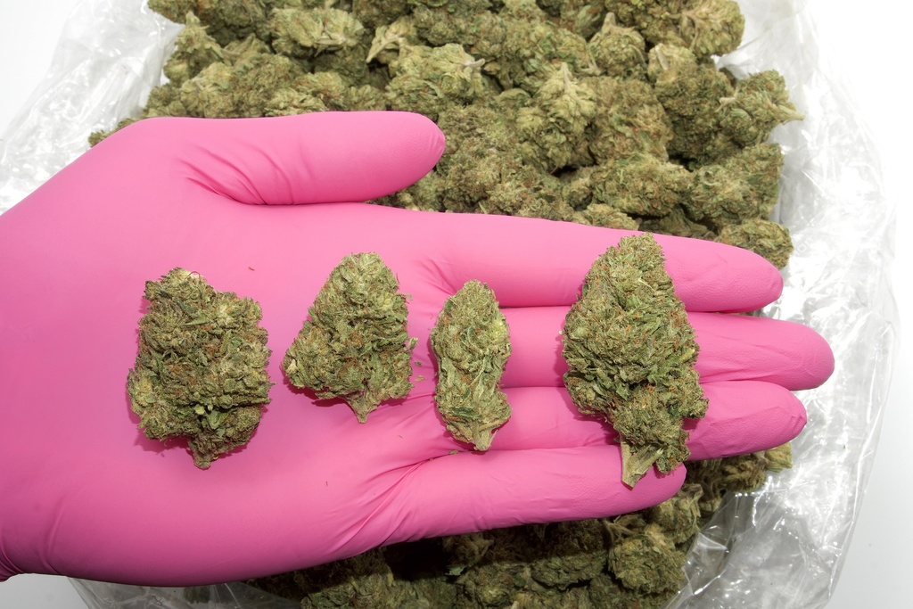Bubba 59 (CBD)