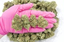 Bubba 59 (CBD)