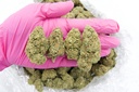 Berry Pie (CBD)
