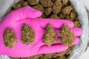 Grape Gas