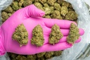 Grape Gas