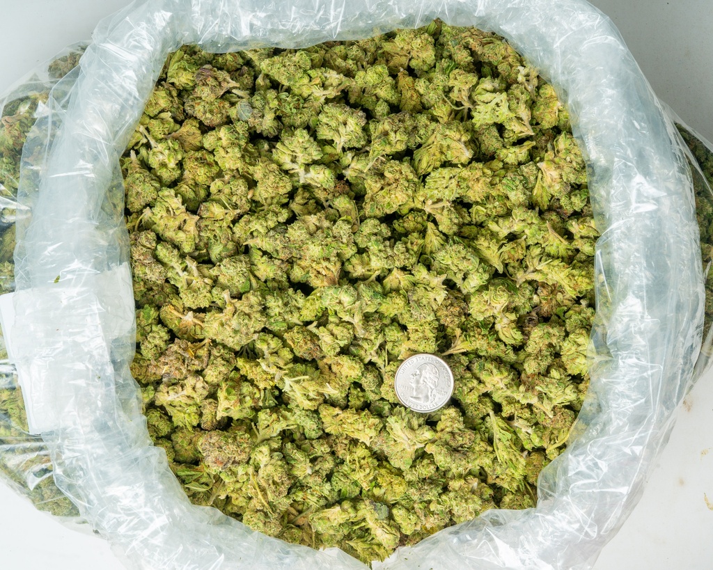 Gary Zkittles Mediums