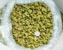 Gary Zkittles Mediums