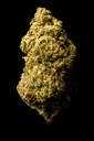 Animal Face Sherbert