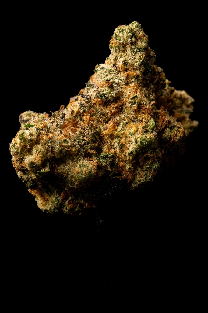 Gascotti Indoor