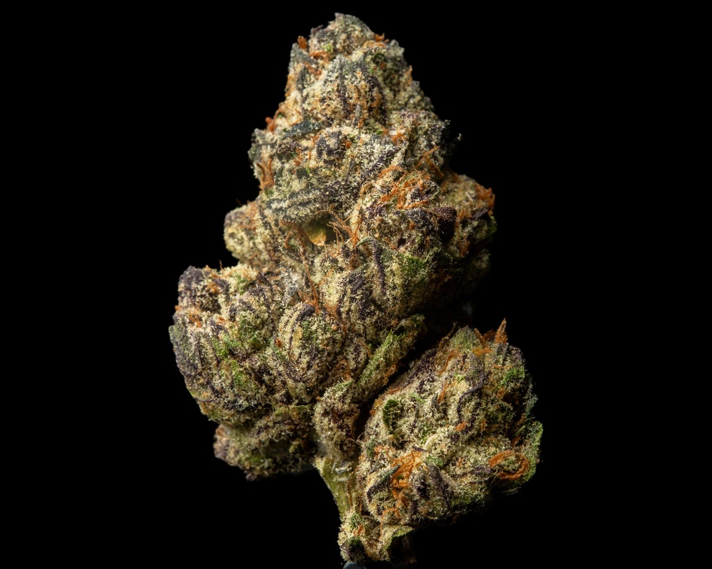 Lemon Cherry Gelato Indoor