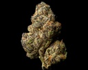 Lemon Cherry Gelato Indoor