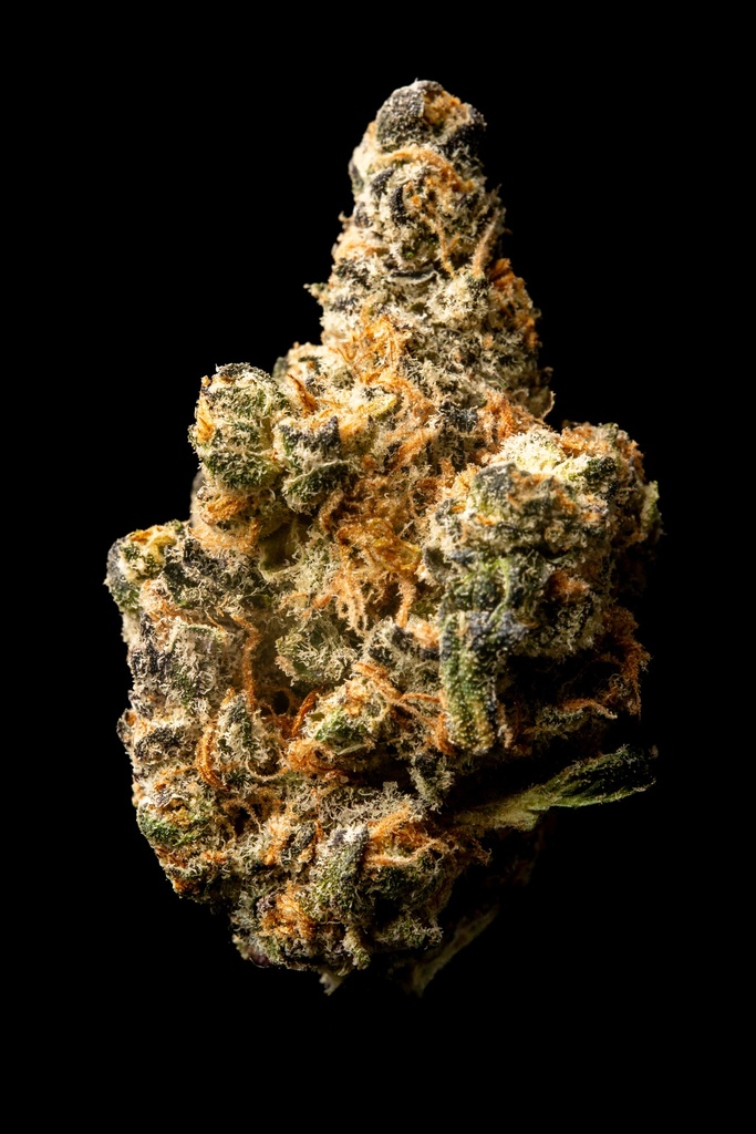 Pure Michigan Indoor