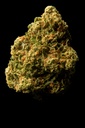 Skittlez