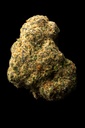 Tropicana Gelato Indoor