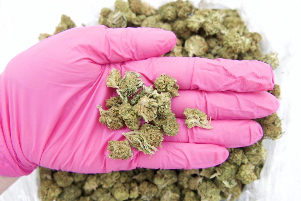 Blue Cheese Mediums (CBD)