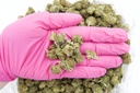 Blue Cheese Mediums (CBD)