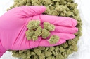 Skywalker Mediums (CBD)