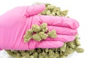 Skywalker Smalls (CBD)
