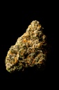 Martian Candy Indoor