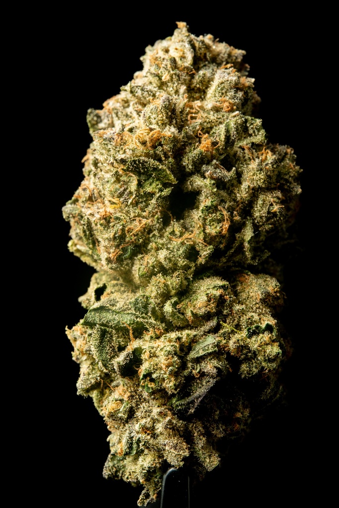 Watermelon Zkittles Indoor